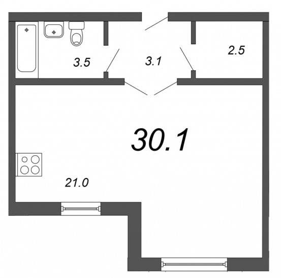 Студия 30.1 м²